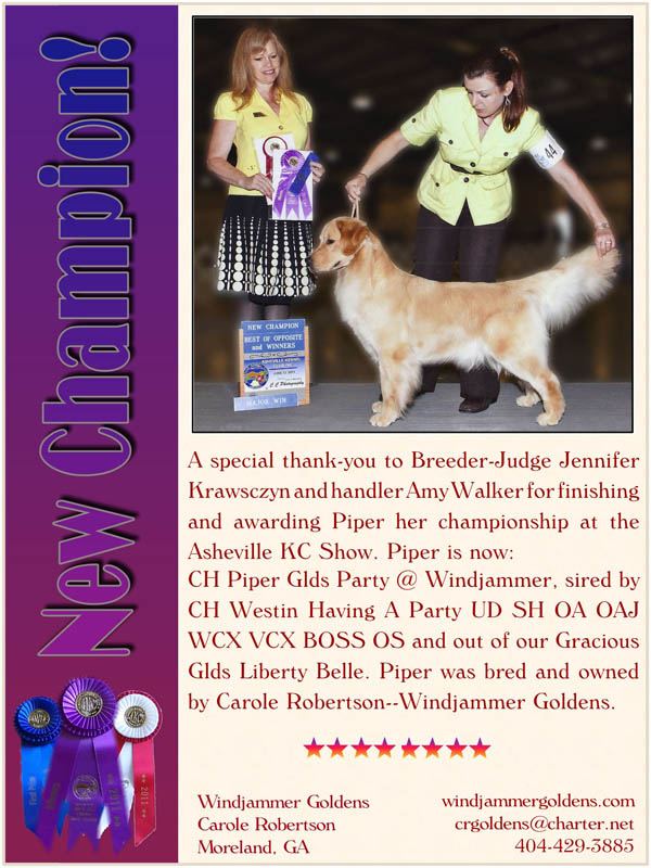 Windjammer, Golden Retrievers, Atlanta, GA, Golden Retriever Puppies